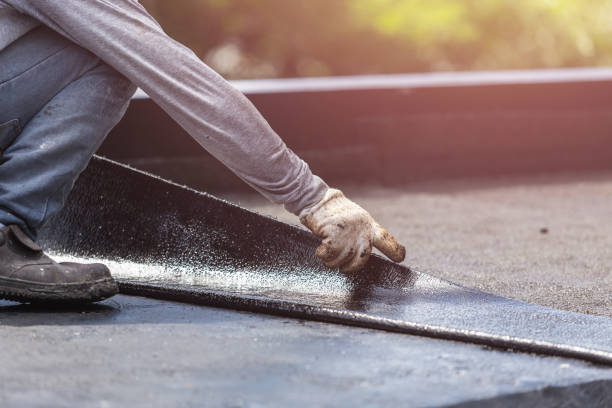 Professional Wet Basement Repair technician working in Trafalgar, IN